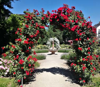 Rosengarten Offenburg